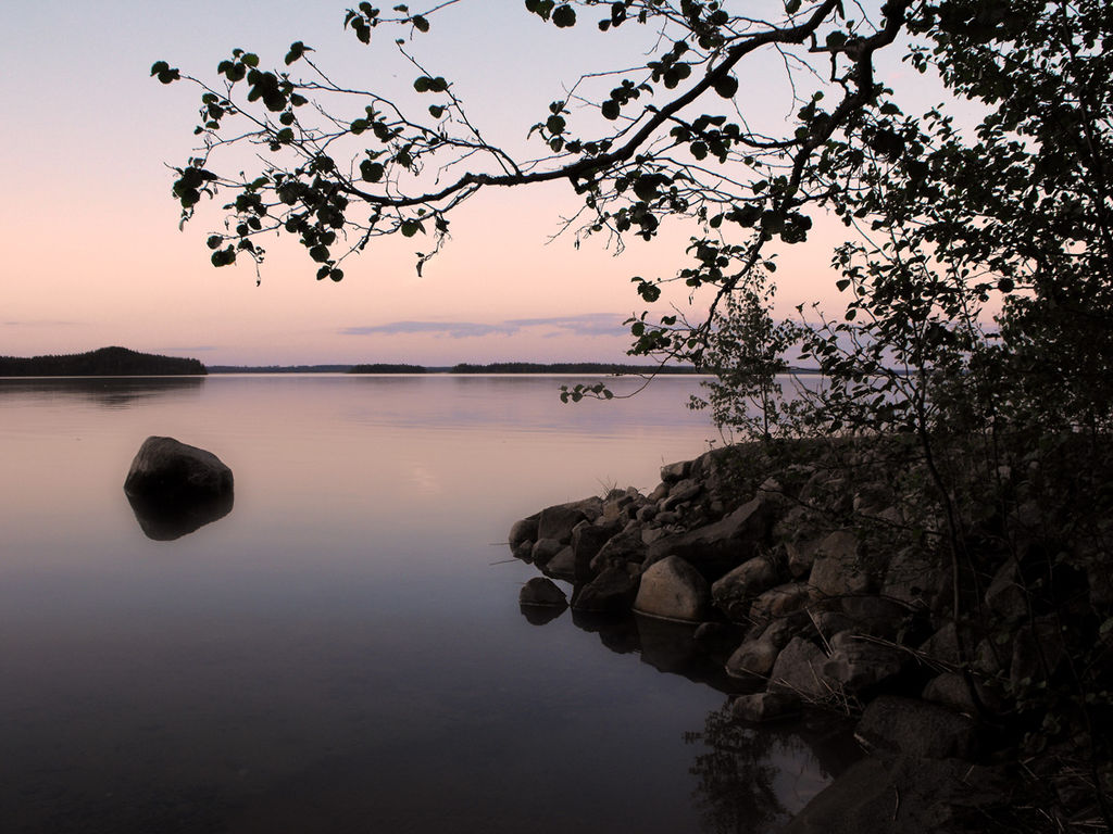 The silent, by Miguel Virkkunen Carvalho A full silhouette